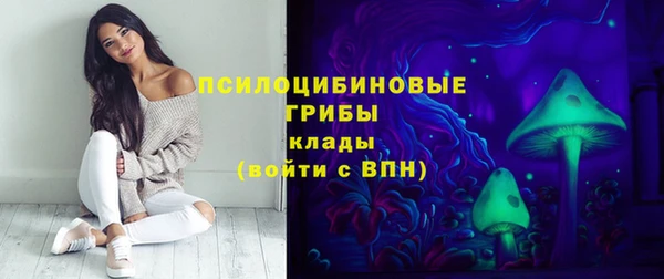 меф Арсеньев