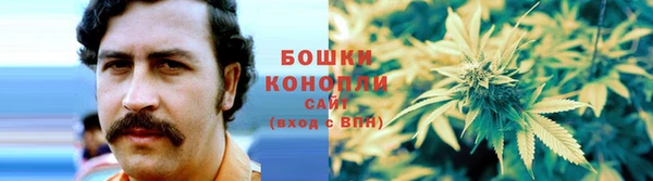 меф Арсеньев