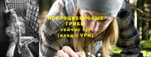 круглые Алзамай