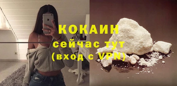 меф Арсеньев