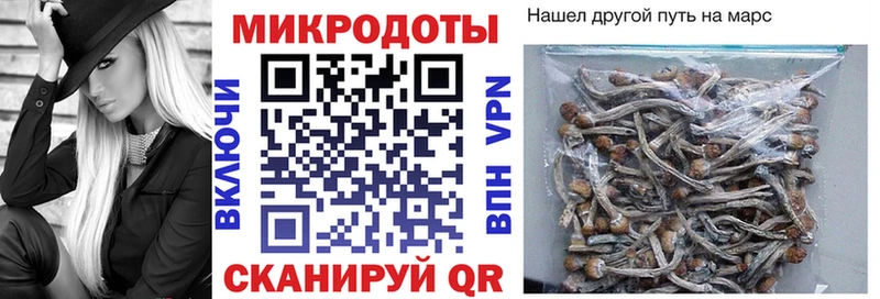 Псилоцибиновые грибы Magic Shrooms  купить закладку  Коломна 